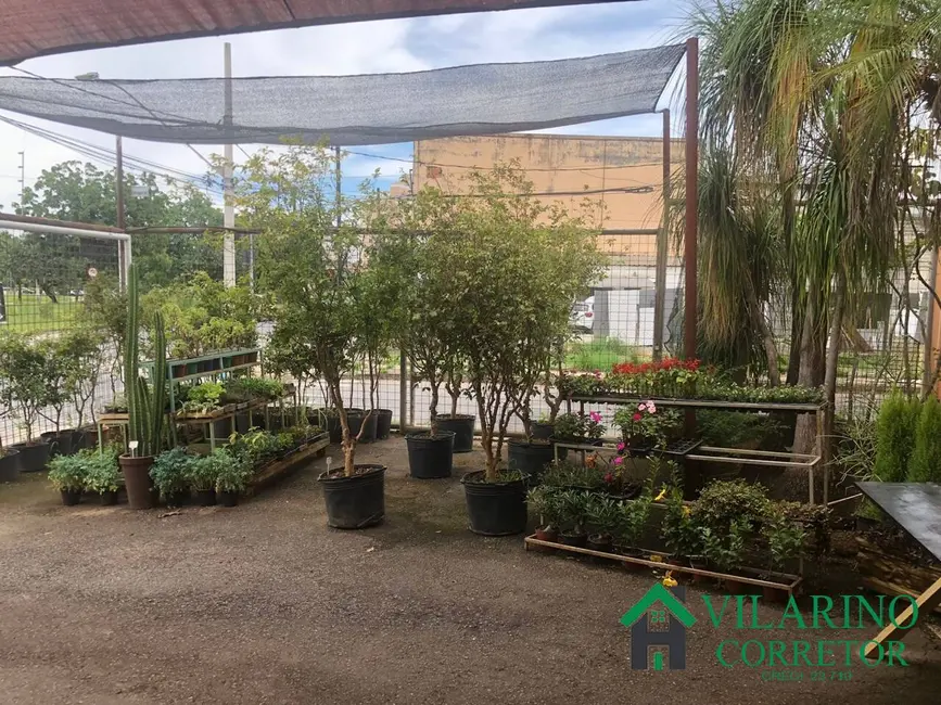 Loja à venda, 360m2 em Paquetá, Belo Horizonte - MG - imagem 4 Foto 4 de Loja à venda, 360m2 em Paquetá, Belo Horizonte - MG