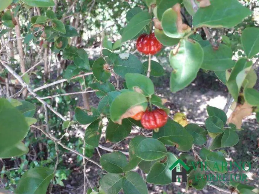 Terreno / Lote à venda, 600m2 em Pedro Leopoldo - MG - imagem 3 Foto 3 de Terreno / Lote à venda, 600m2 em Pedro Leopoldo - MG