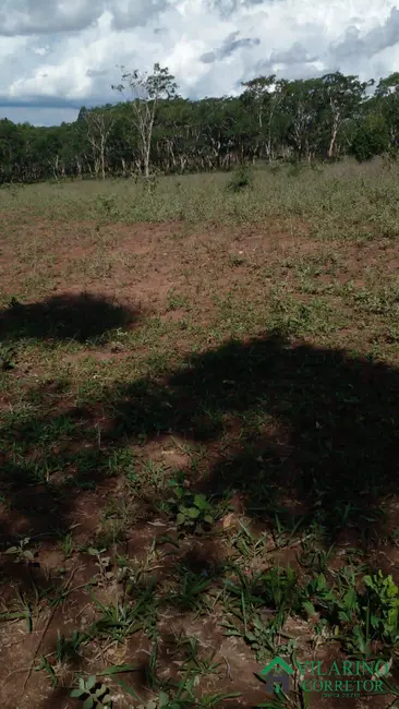 Foto 6 de Fazenda / Haras à venda, 220000m2 em Claudio - MG