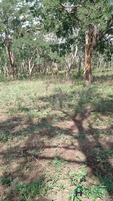 Foto 7 de Fazenda / Haras à venda, 220000m2 em Claudio - MG