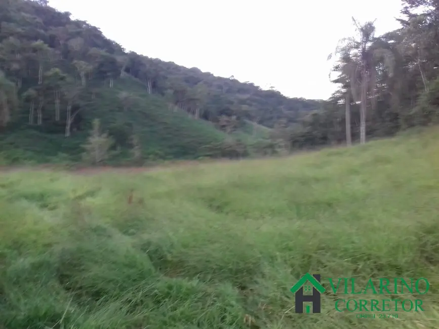 Fazenda / Haras com 3 quartos à venda, 300m2 em Carmesia - MG - imagem 8 Foto 8 de Fazenda / Haras com 3 quartos à venda, 300m2 em Carmesia - MG