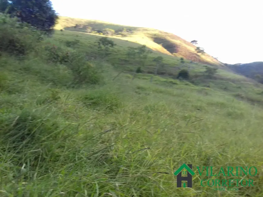 Fazenda / Haras com 3 quartos à venda, 300m2 em Carmesia - MG - imagem 9 Foto 9 de Fazenda / Haras com 3 quartos à venda, 300m2 em Carmesia - MG