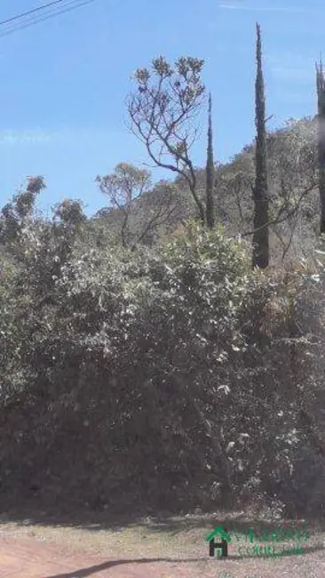 Sítio / Rancho à venda, 20m2 em Rio Acima - MG - imagem 6 Foto 6 de Sítio / Rancho à venda, 20m2 em Rio Acima - MG