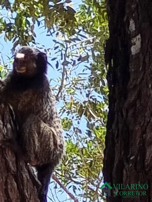 Terreno / Lote à venda, 2000m2 em Claudio - MG - imagem 8 Foto 8 de Terreno / Lote à venda, 2000m2 em Claudio - MG