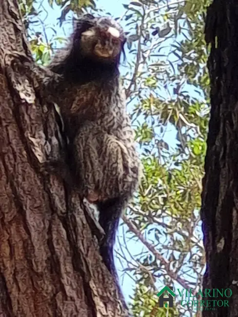 Terreno / Lote à venda, 2000m2 em Claudio - MG - imagem 9 Foto 9 de Terreno / Lote à venda, 2000m2 em Claudio - MG