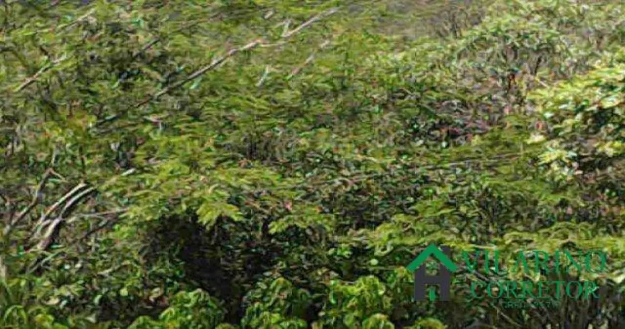 Foto 7 de Sítio / Rancho à venda em Rio Acima - MG