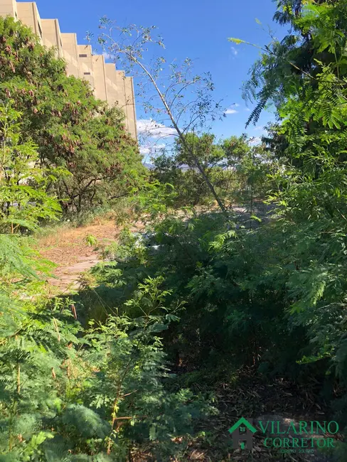Foto 6 de Terreno / Lote à venda, 4165m2 em Estoril, Belo Horizonte - MG