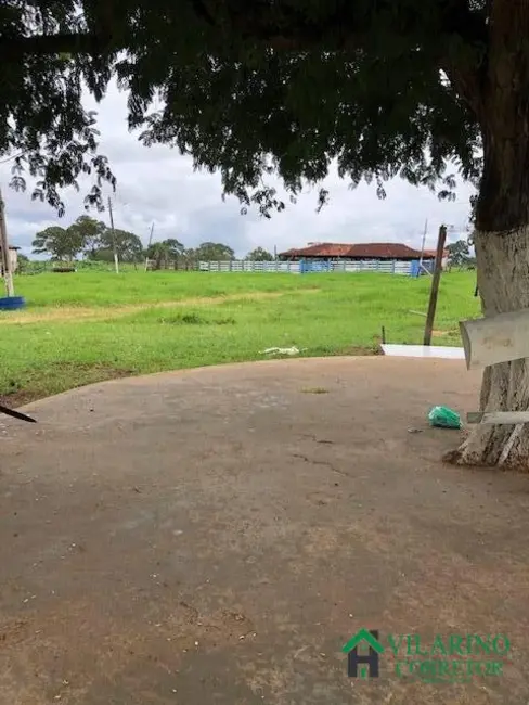 Fazenda / Haras com 3 quartos à venda, 200m2 em Arinos - MG - imagem 9 Foto 9 de Fazenda / Haras com 3 quartos à venda, 200m2 em Arinos - MG