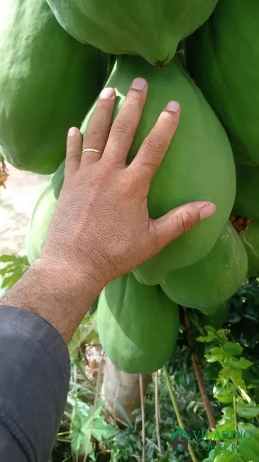 Fazenda / Haras com 3 quartos à venda, 200m2 em Arinos - MG - imagem 3 Foto 3 de Fazenda / Haras com 3 quartos à venda, 200m2 em Arinos - MG