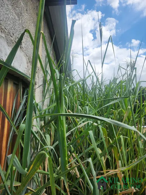 Foto 8 de Terreno / Lote à venda, 833m2 em Renascença, Belo Horizonte - MG