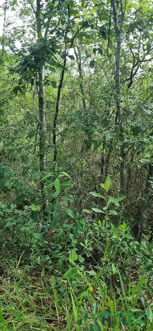 Terreno / Lote à venda, 2160m2 em Esmeraldas - MG - imagem 4 Foto 4 de Terreno / Lote à venda, 2160m2 em Esmeraldas - MG