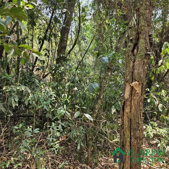 Terreno / Lote à venda, 1000m2 em Brumadinho - MG - imagem 5 Foto 5 de Terreno / Lote à venda, 1000m2 em Brumadinho - MG