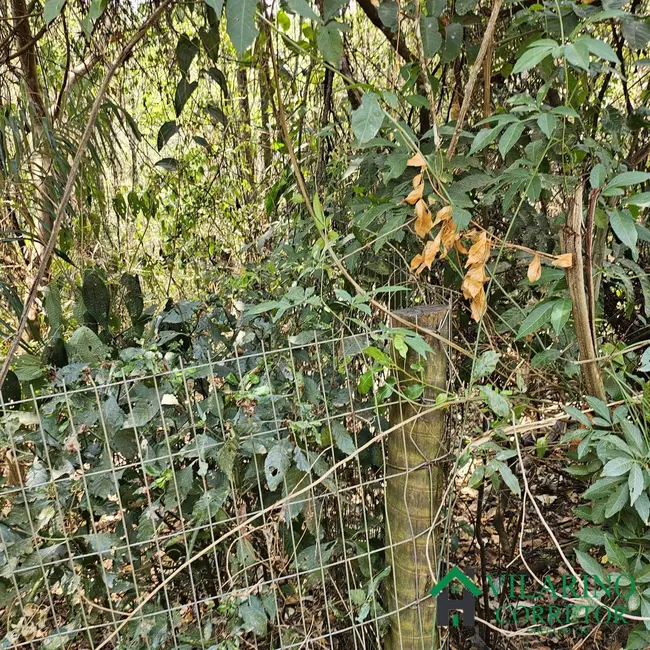 Terreno / Lote à venda, 1000m2 em Brumadinho - MG - imagem 8 Foto 8 de Terreno / Lote à venda, 1000m2 em Brumadinho - MG
