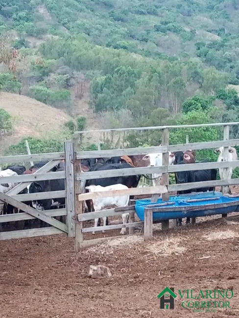 Fazenda / Haras com 3 quartos à venda, 400m2 em Torneiros, Para De Minas - MG - imagem 7 Foto 7 de Fazenda / Haras com 3 quartos à venda, 400m2 em Torneiros, Para De Minas - MG