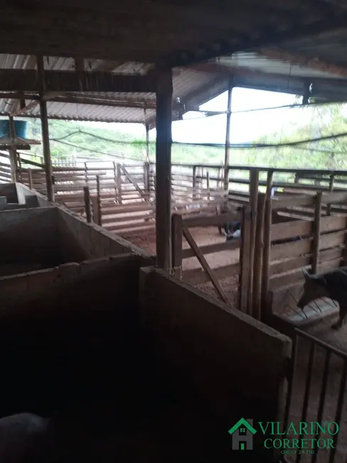 Fazenda / Haras com 3 quartos à venda, 400m2 em Torneiros, Para De Minas - MG - imagem 9 Foto 9 de Fazenda / Haras com 3 quartos à venda, 400m2 em Torneiros, Para De Minas - MG