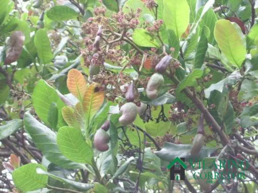 Foto 4 de Sítio / Rancho à venda, 20m2 em Santana Do Riacho - MG