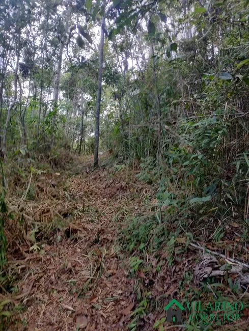 Terreno / Lote à venda, 90000m2 em Bom Jesus Do Amparo - MG - imagem 8 Foto 8 de Terreno / Lote à venda, 90000m2 em Bom Jesus Do Amparo - MG