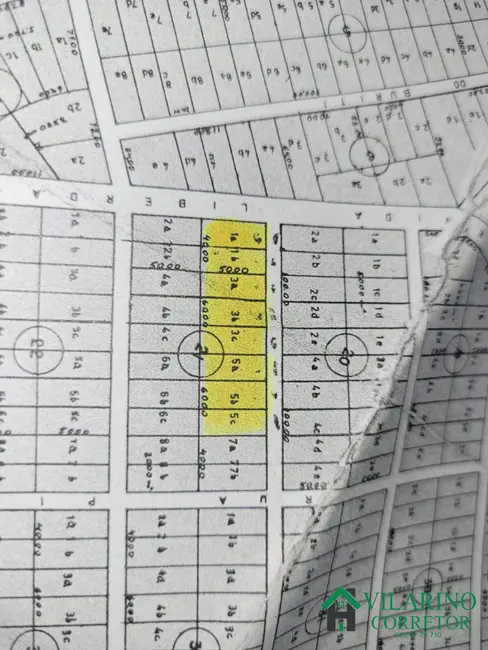 Foto 11 de Chácara à venda, 10m2 em Felixlandia - MG