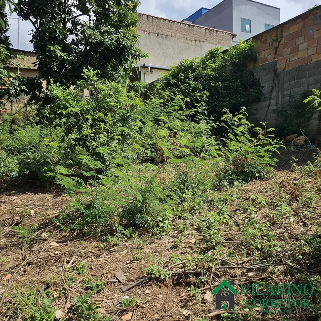 Foto 2 de Terreno / Lote à venda, 720m2 em Etelvina Carneiro, Belo Horizonte - MG