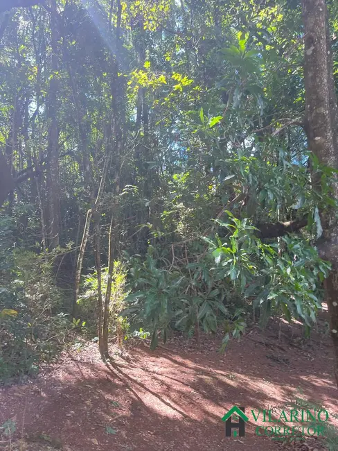 Foto 9 de Sítio / Rancho com 2 quartos à venda, 300m2 em Caete - MG