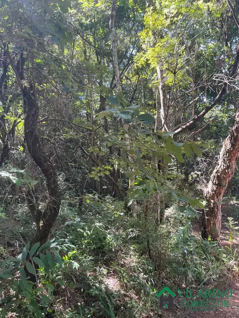 Foto 4 de Sítio / Rancho com 2 quartos à venda, 300m2 em Caete - MG