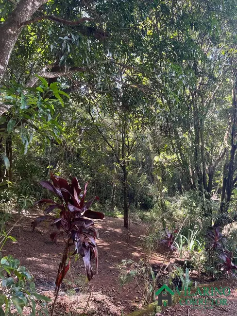 Foto 8 de Sítio / Rancho com 2 quartos à venda, 300m2 em Caete - MG