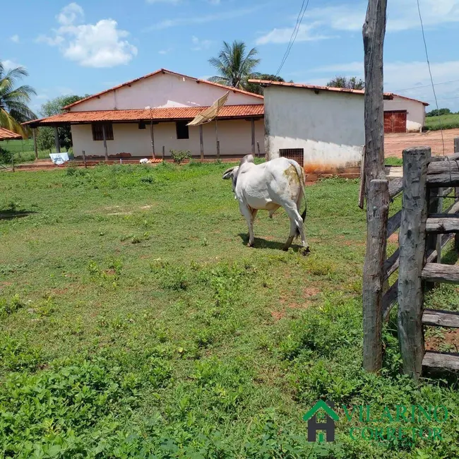 Fazenda / Haras com 3 quartos à venda, 600m2 em Manga - MG - imagem 8 Foto 8 de Fazenda / Haras com 3 quartos à venda, 600m2 em Manga - MG