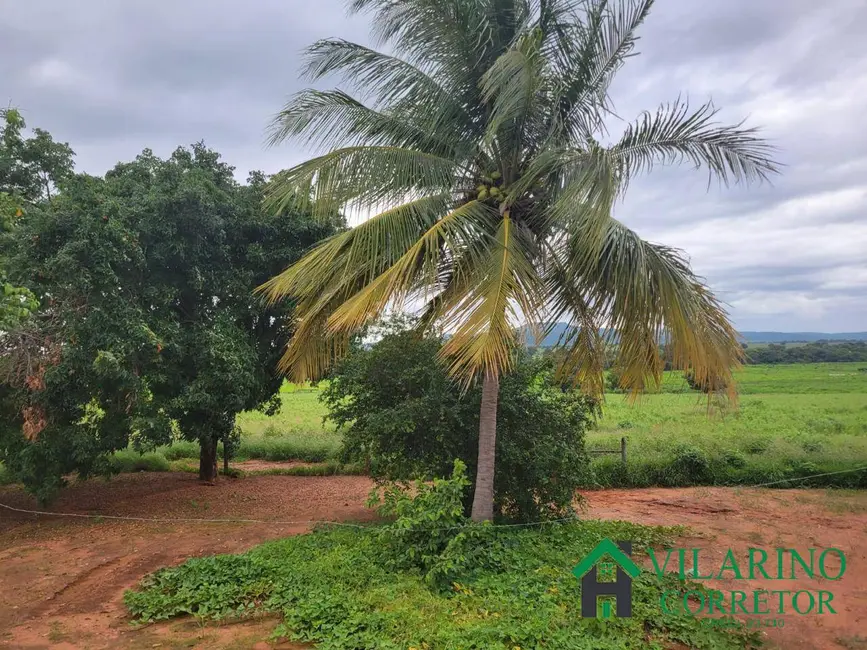 Fazenda / Haras com 3 quartos à venda, 600m2 em Manga - MG - imagem 9 Foto 9 de Fazenda / Haras com 3 quartos à venda, 600m2 em Manga - MG