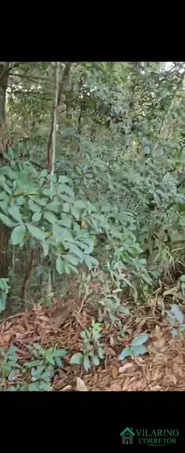 Foto 5 de Sítio / Rancho à venda, 11m2 em Rio Acima - MG