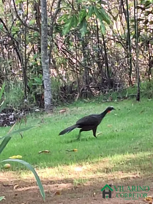 Foto 5 de Casa de Condomínio com 3 quartos para alugar, 180m2 em Rio Acima - MG