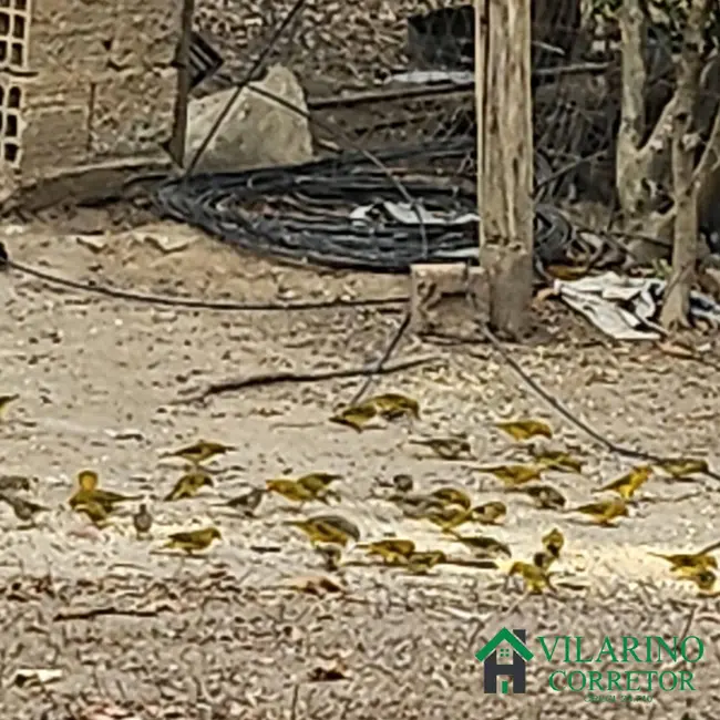 Sítio / Rancho com 3 quartos à venda, 300m2 em Taquaracu De Minas - MG - imagem 3 Foto 3 de Sítio / Rancho com 3 quartos à venda, 300m2 em Taquaracu De Minas - MG