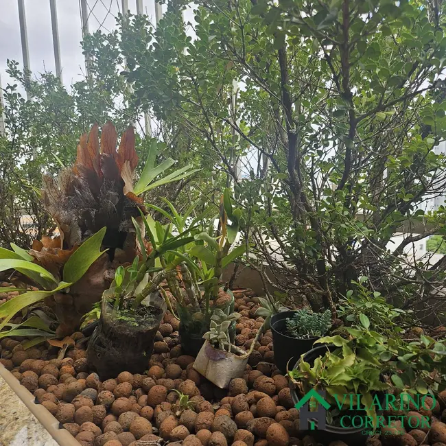 Foto 9 de Cobertura com 3 quartos à venda, 149m2 em Silveira, Belo Horizonte - MG