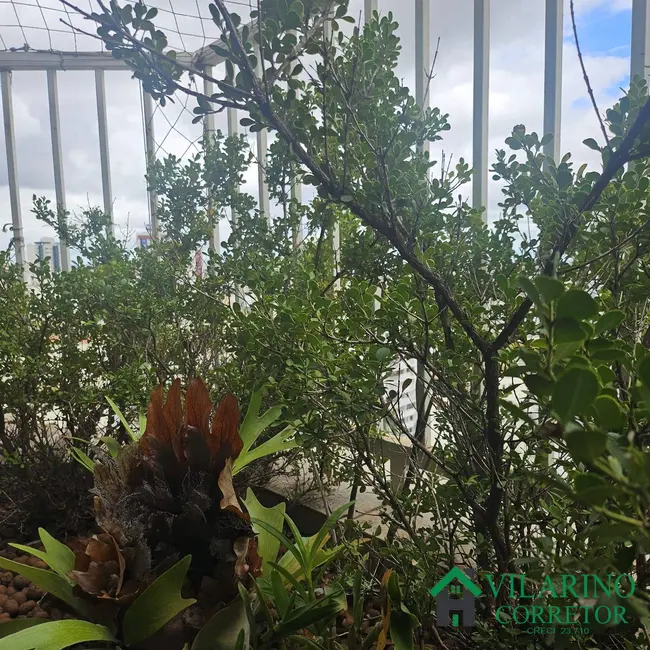 Foto 7 de Cobertura com 3 quartos à venda, 149m2 em Silveira, Belo Horizonte - MG