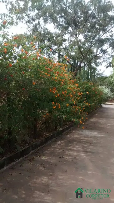 Foto 8 de Casa com 3 quartos à venda, 1400m2 em Morada Nova De Minas - MG