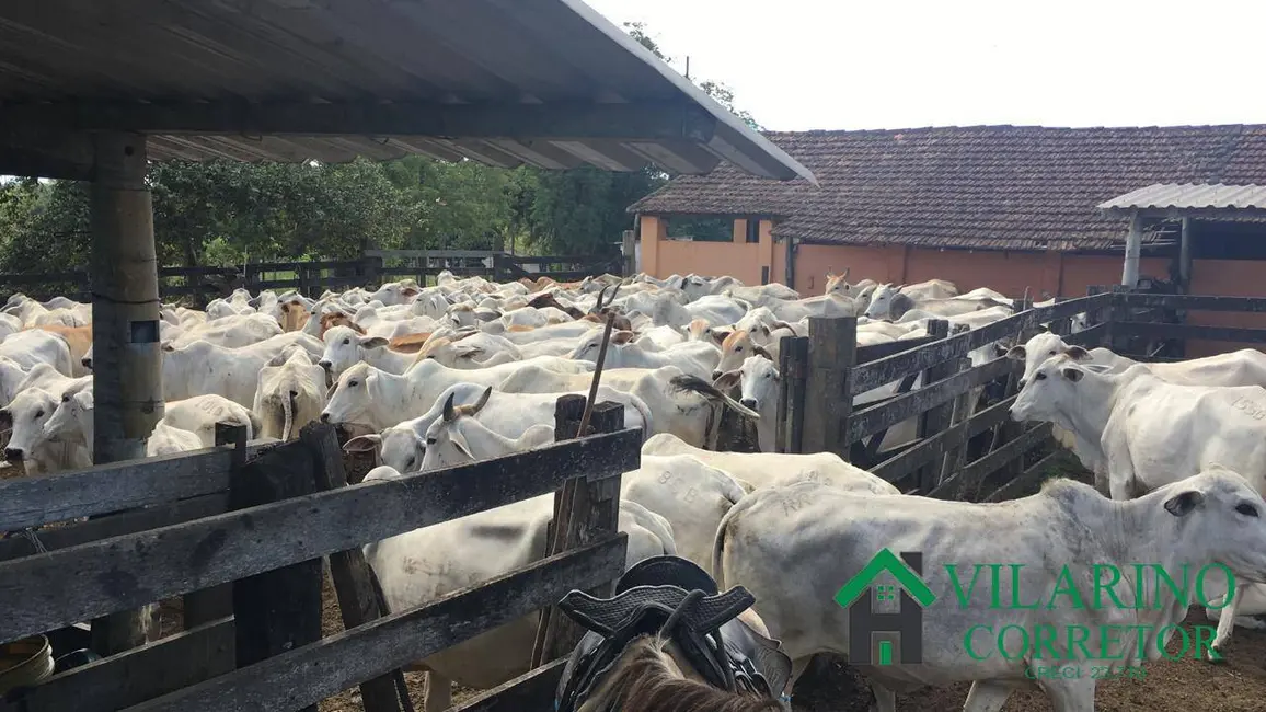 Foto 8 de Fazenda / Haras à venda, 52m2 em Araruama - RJ