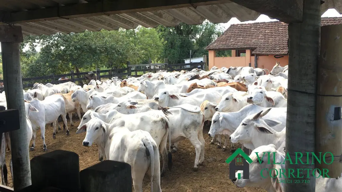 Foto 7 de Fazenda / Haras à venda, 52m2 em Araruama - RJ