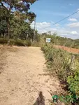 Imagem 6