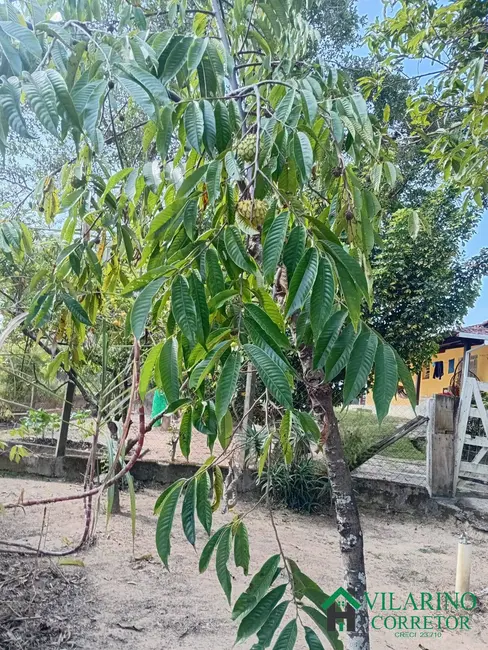 Chácara à venda, 3000m2 em Esmeraldas - MG - imagem 8 Foto 8 de Chácara à venda, 3000m2 em Esmeraldas - MG