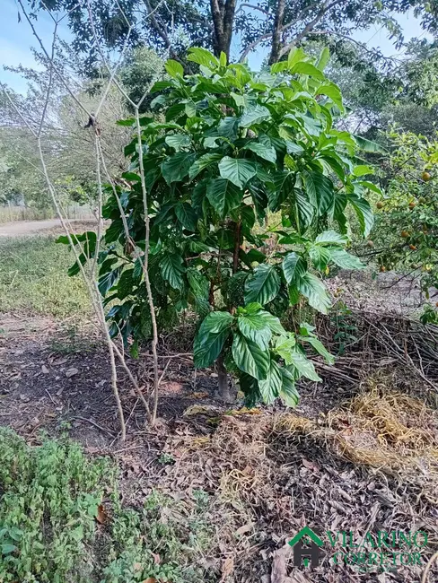 Foto 11 de Chácara à venda, 3000m2 em Esmeraldas - MG