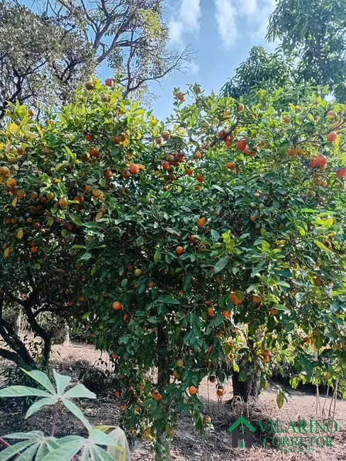 Foto 15 de Chácara à venda, 3000m2 em Esmeraldas - MG