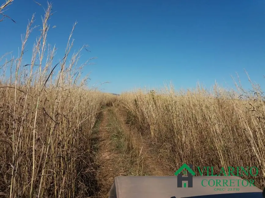 Foto 8 de Fazenda / Haras com 3 quartos à venda, 20m2 em Centro, Nova Brasilandia - MT
