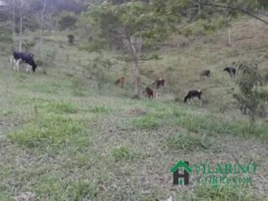Fazenda / Haras com 5 quartos à venda, 450m2 em Centro, Ladainha - MG - imagem 4 Foto 4 de Fazenda / Haras com 5 quartos à venda, 450m2 em Centro, Ladainha - MG