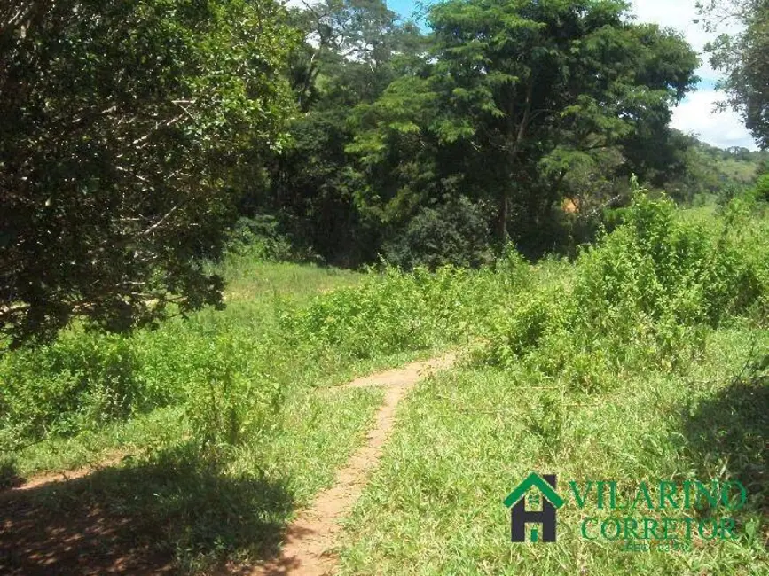 Foto 7 de Fazenda / Haras com 5 quartos à venda, 200m2 em Pecanha - MG