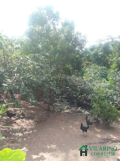 Foto 7 de Casa com 4 quartos à venda, 250m2 em Fazendinha do Barão, Santa Luzia - MG