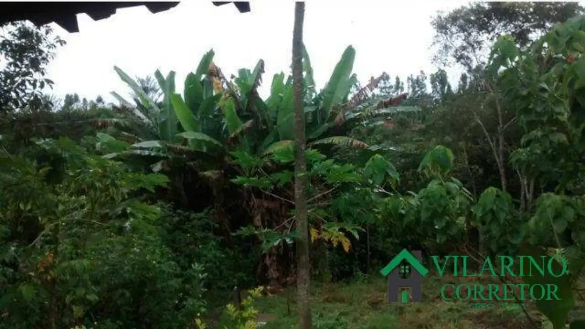 Foto 2 de Sítio / Rancho com 3 quartos à venda, 10000m2 em Itatiaiucu - MG