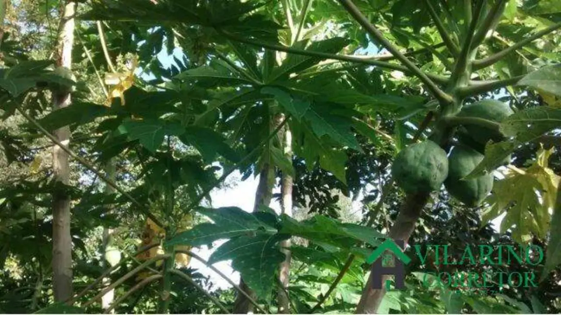 Foto 7 de Sítio / Rancho com 3 quartos à venda, 10000m2 em Itatiaiucu - MG