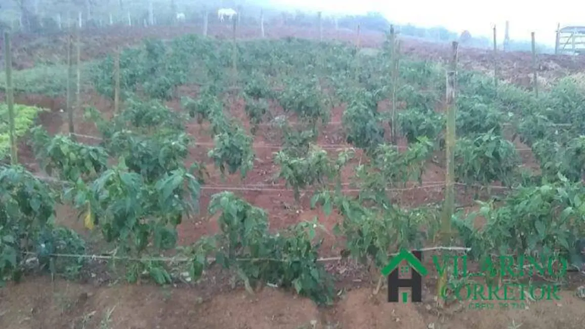 Fazenda / Haras com 2 quartos à venda, 250m2 em Barbacena - MG - imagem 8 Foto 8 de Fazenda / Haras com 2 quartos à venda, 250m2 em Barbacena - MG