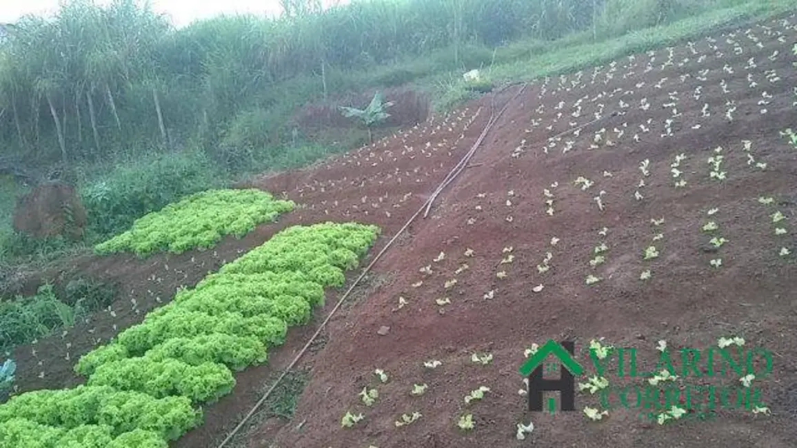 Fazenda / Haras com 2 quartos à venda, 250m2 em Barbacena - MG - imagem 9 Foto 9 de Fazenda / Haras com 2 quartos à venda, 250m2 em Barbacena - MG