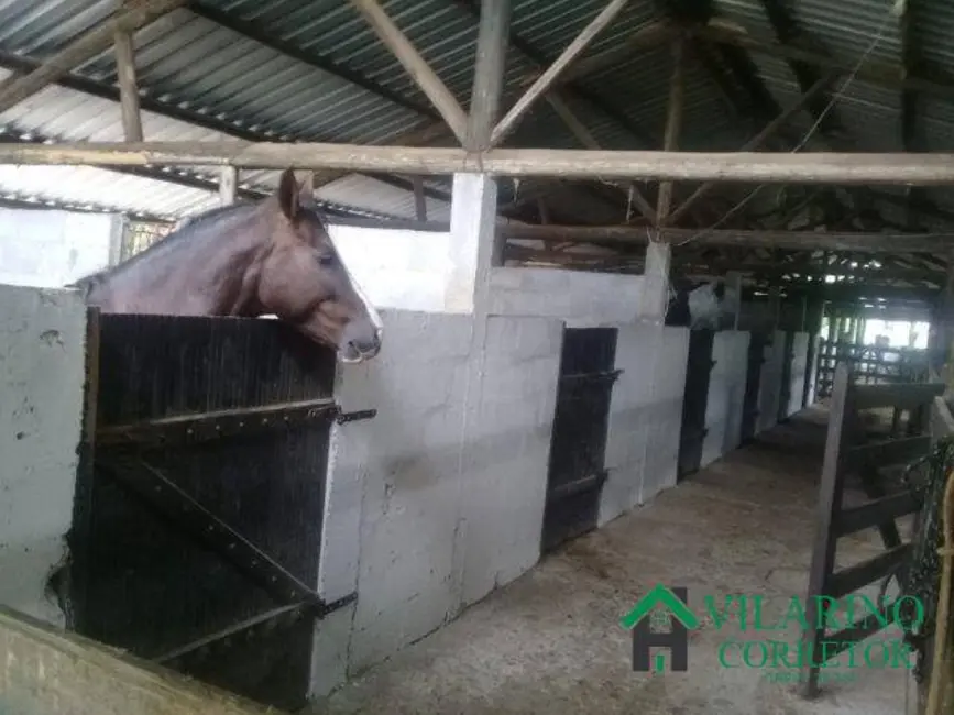 Fazenda / Haras com 2 quartos à venda, 250m2 em Barbacena - MG - imagem 5 Foto 5 de Fazenda / Haras com 2 quartos à venda, 250m2 em Barbacena - MG