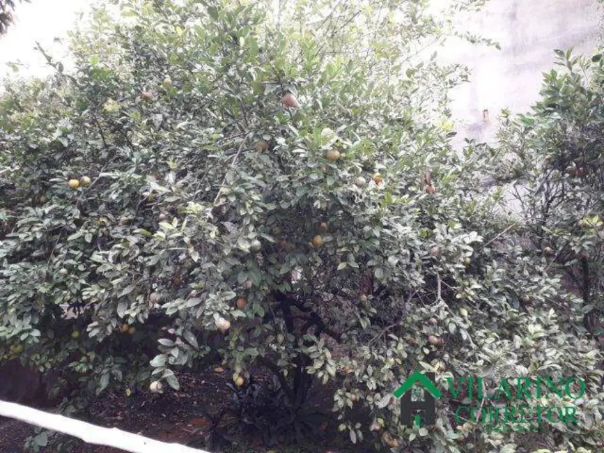 Casa com 2 quartos à venda, 250m2 em Sao Jose Da Lapa - MG - imagem 5 Foto 5 de Casa com 2 quartos à venda, 250m2 em Sao Jose Da Lapa - MG